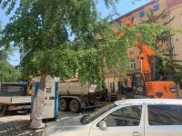 Signed, Sealed, Delivered: How One Brno Street Lost a 20-Year-Old Tree Before Residents Could Object