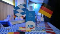 Germany approves ‘revolution’ for spy agencies – Bild