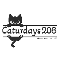 Idaho’s First Cat Cafe coming soon to Pocatello, “Connection without Consumption” and cats for mental health at Caturdays208