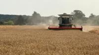 Winter wheat Sparkler delivers strong results for farmers across the UK