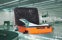 Traveler Caught Smuggling 200 Lizards Hidden in Socks at Haneda Airport