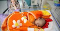 Fewer children, more seniors as fertility drops across Maghreb
