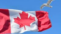 Canada border officers raid Indian student protest site in Calgary