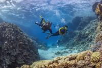 PNG invests in overseas STEM scholarships to drive innovation and development