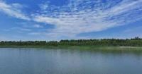 China reports continued environmental improvement in Jan-July