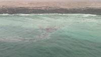 Environment Authority monitors repercussions of grounded ship incident off Hallaniyat Islands