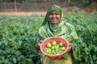 Food security vs food insecurity: Definitions, meaning and real-world examples