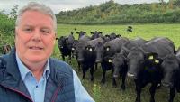 Mullooly hosting public meeting on ferry animal transport crisis