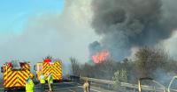 Professor warns New Forest could take years to recover after devastating fire