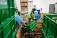 African exporters reap early benefits of China’s zero-tariff treatment