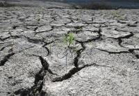 South Korea deploys military vehicles, water tankers as drought grips southeast
