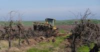 FARM: State's farmers seek fairness in trade talks with Canada