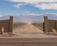 Finca Don Carlos Doubles At The 2026 Decanter World Wine Awards