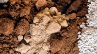 Scoping study on Brazilian Rare Earths' Rocha da Rocha project confirms lowest-cost Western ...