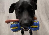 Therapy dogs coming to the Putnam Children’s Advocacy Center