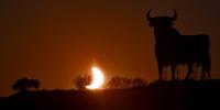 PICS | As millions gazed in awe, a swathe of Spain plunged into darkness