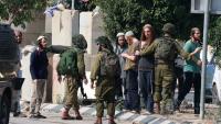 “Israeli” Reservists Urge Army Chief to Halt Settler Violence in West Bank