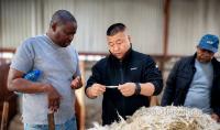 Baokunyaoda transforms wool and mohair farmers’ fortunes 