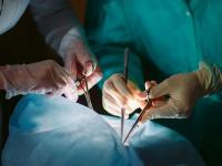 Sharjah hospital marks milestone kidney transplant