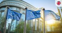 Brussels Effect | EU AI Act: Does it affect UK employers? Key HR details