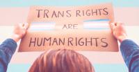 On the Carceral Ideology Underpinning the Anti-Trans Movement