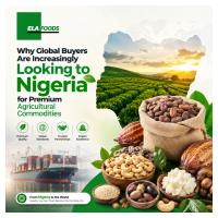 Why global buyers are increasingly looking to Nigeria for premium agricultural commodities