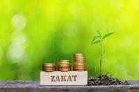Can the Islamic Economic System Offer an Answer to Global Inequality?
