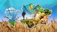 From grain exporter to agri-food hub: Kazakhstan's role in global food security