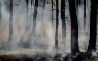 Wildfire Prevention Has Always Been a Challenge in the West. Hotter, Drier Weather Is Making It Worse.