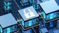 Cybersecurity: Lock It Down