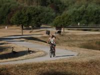 More than 135 million people in Europe face temperatures over 35C