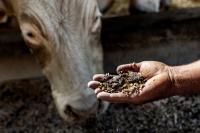 The FDA's New Food Ingredient Proposal Also Covers Pet Food and Cattle Feed, Where Just 75 Notices Have Ever Been Filed