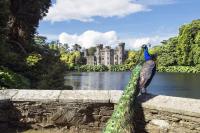 Communities invited to help preserve Ireland’s living history in new Irish Heritage Trust Project