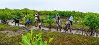 Africa faces growing threat from biodiversity loss, UN warns