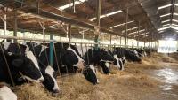 Farmers call for support over impact of high temperatures
