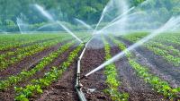 Time to make agriculture work for Malawi