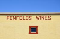Treasury Wine Estates profits plunge as US problems persist