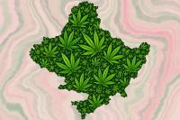 Gandaki passed the cannabis law. The harder one comes next
