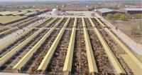 Hinggan League Agricultural, Cultural and Tourism Consumption Carnival Opens in Beijing