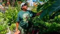 A West End gardening program is battling food deserts, employing youth