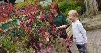 Free children's gardening workshop at Dobbies this September