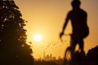 Heatwave deaths hit 12,500 in Germany