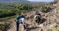 With Community Science, Big Bend BioBlitz Documents Biodiversity Threatened by Border Projects
