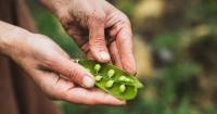 The new sustainability playbook starts with suppliers