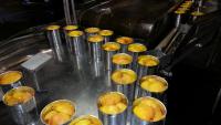 Tulbagh cannery closure threatens thousands of jobs, fruit growers