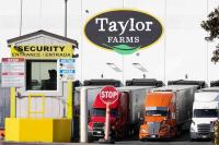 Taylor Farms recall expands as company pulls jalapeños from Trader Joe’s, Target, others
