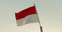 Indonesia names 2 tax officers as suspects in $143m pulp under-invoicing case