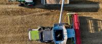 Is 4.6 million tons of grain a lot or a little? What’s wrong with Belarusian Radio’s harvest assessment