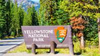 Yellowstone National Park Loses Tourists Following President Trump's $100 'America First' Fee