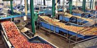 IGD conference to offer practical solutions for strengthening UK food system
